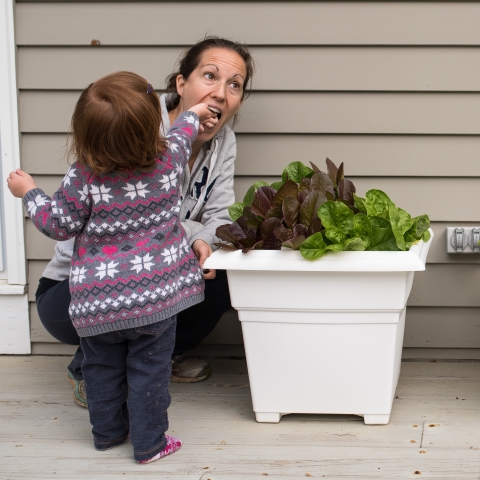 Connecticut Family Photographer - Anna Holden